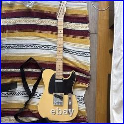 Grass Roots Electric Guitar TL-Style Style with Dusty Condition Grass Roots Electric Guitar TL-Style Style with Dusty Condition