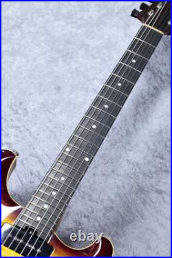 Greco EW-195Q/P -Brown Burst (2010s) Greco EW-195Q/P -Brown Burst (2010s)