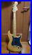 HEERBY_EXCELLENT_TYPE1000_Electric_Guitar_Used_01_cr