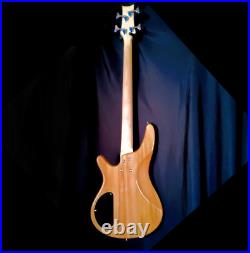 HOLIDAY SPECIAL? I Style Electric Bass Guitar +Jazz/P Bass Pickups +Strap