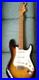 Heart_Man_Stratguitar_01_gu