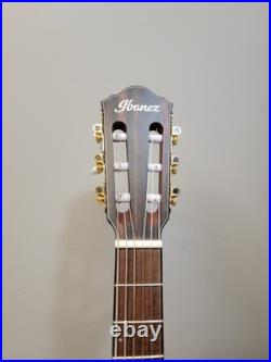 Ibanez FRH10N-RGF Nylon Electric Guitar Rose Gold Metallic Flat FR Hollow Body