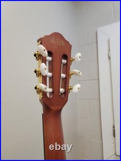 Ibanez FRH10N-RGF Nylon Electric Guitar Rose Gold Metallic Flat FR Hollow Body