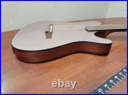 Ibanez FRH10N-RGF Nylon Electric Guitar Rose Gold Metallic Flat FR Hollow Body