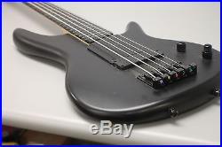 Ibanez Gary Willis Signature Fretless Five-String Electric Bass Guitar Black