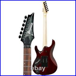 Ibanez Kiko Loureiro Signature KIKO10BP Guitar Trans Gray Burst 197881379865 RF