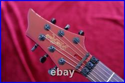 Maintained Grassroots Forest Floyd Rose Duncan Pu