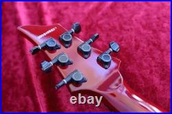 Maintained Grassroots Forest Floyd Rose Duncan Pu