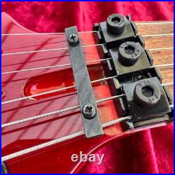 Maintained Grassroots Forest Floyd Rose Duncan Pu