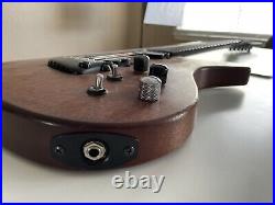 Parker Nitefly Mahogany Electric Acoustic Guitar with Original Gig Bag Case