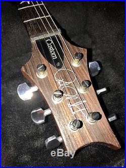 Paul Reed Smith Custom 24 Electric Guitar