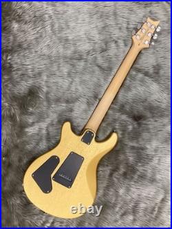 Paul Reed Smith PRS SE CE 24 (no250726) Paul Reed Smith PRS SE CE 24 (no250726)