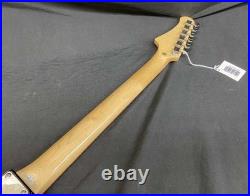 Photogenic JM-220 3TS Electric Guitar Beginner Model With Soft Case