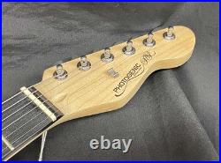 Photogenic Tl-180/Lpb Electric Guitar Photogenic Tl-180/Lpb Electric Guitar
