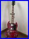 Playtech_Sg_Guitar_Rare_Electric_Guitar_01_jwx