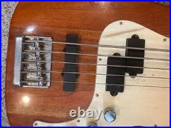 Samick Fairlane Greg Bennett 5-String Electric Bass Guitar with Gig Bag Black