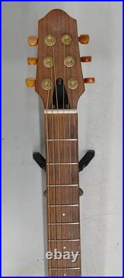 Slg-100S Silent Guitar Slg-100S Silent Guitar