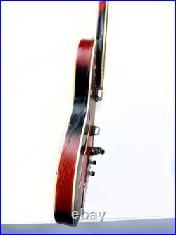 Soviet Vintage Semi Acoustic Guitar Lviv USSR 6 String Retro Instrument