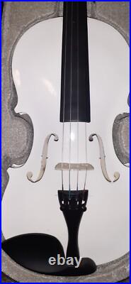 Stringed Instruments