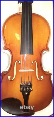 Stringed Instruments