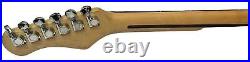 Sunburst Electric Guitar, Stratocaster Solid Wood Body withGuitar Bag, By ION