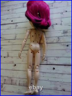 Taeyandor hide body only Taeyandor hide body only