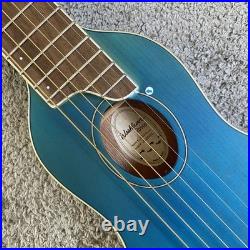 Washburn Rover RO10SK 34 Inch Travel Acoustic Guitar