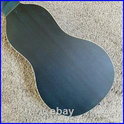 Washburn Rover RO10SK 34 Inch Travel Acoustic Guitar