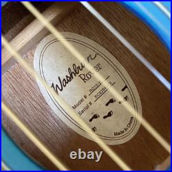 Washburn Rover RO10SK 34 Inch Travel Acoustic Guitar