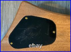 Wylde Audio Goregehn Special Edition Guitar, EMG 81 85 Pickups, Blood River Burl